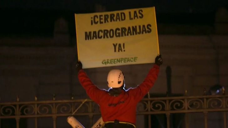 Greenpeace presenta alegaciones contra la que sería la macrogranja avícola más contaminante por amoniaco