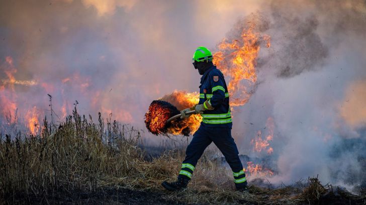 Los cambios climáticos expandieron las condiciones para generar incendios forestales sin precedentes