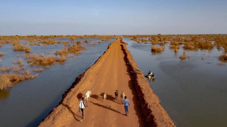 ACNUR: Más de 120 millones de refugiados en peligro por la crisis climática